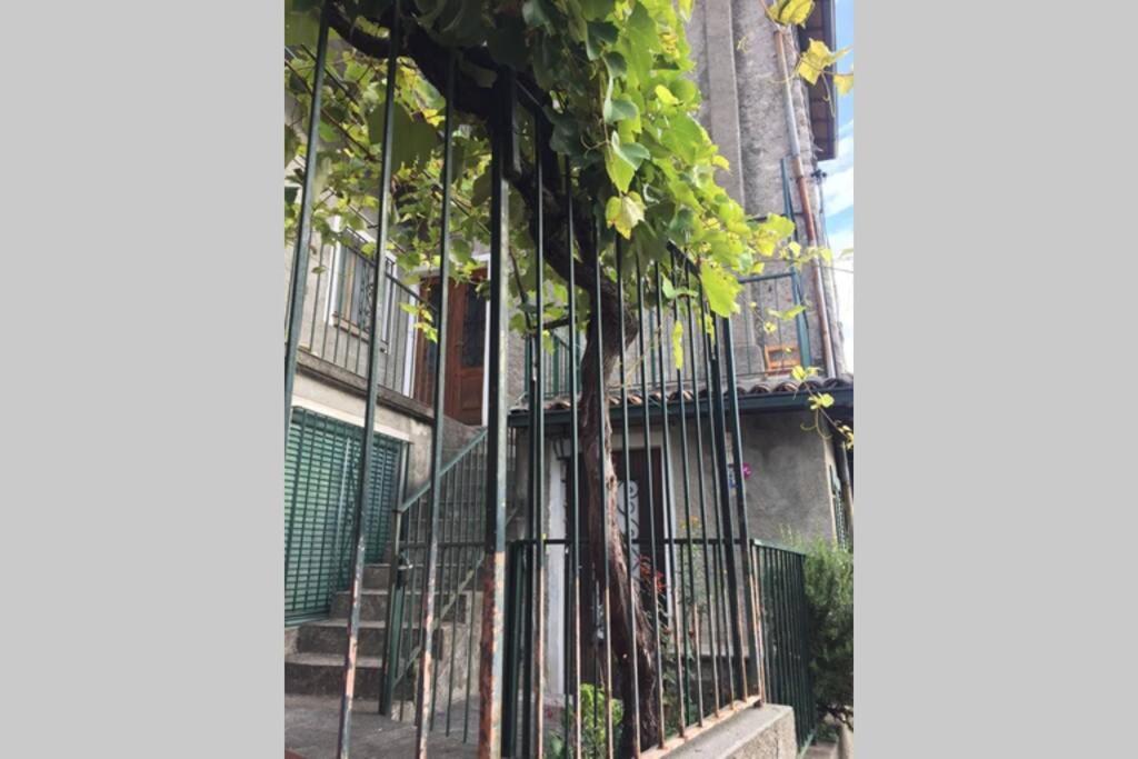 Nel Set Di Piccolo Mondo Antico Villa Viola 발솔다 외부 사진